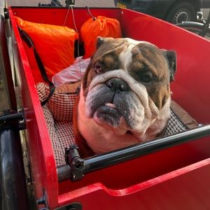 Meet your Posher, Andrew